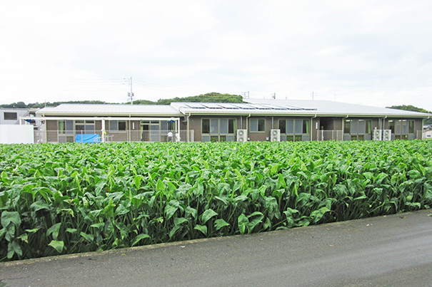 木の香りいっぱいの保育所